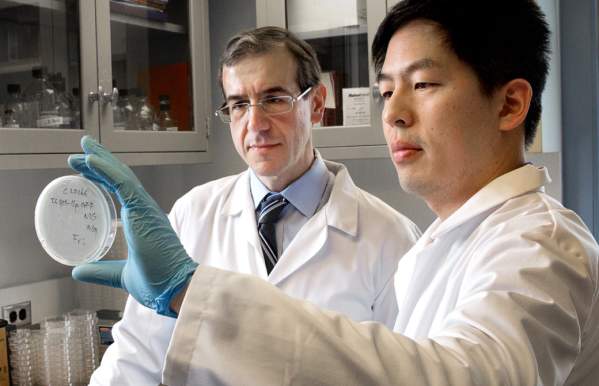 Two men in lab coats observing a petri dish inside a laboratory.